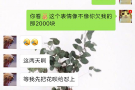 利州融资清欠服务